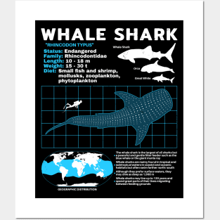 Whale shark data sheet Posters and Art